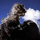 photo du film Mothra contre Godzilla