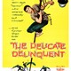 photo du film Le Délinquant involontaire