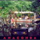 photo du film Anaconda, le prédateur