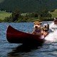 photo du film Yogi l'ours
