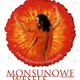 photo du film Le Mariage des moussons