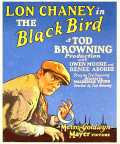 voir la fiche complète du film : L Oiseau noir