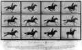 voir la fiche complète du film : Sallie Gardner at a Gallop