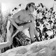 photo du film Tarzan, l'homme singe