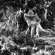 photo du film Tarzan, l'homme singe