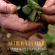 photo du film Retour à la terre