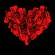 photo du film Crazy Heart