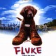 photo du film Fluke