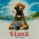 photo du film Fluke
