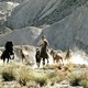 photo du film Les Collines de la terreur