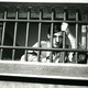 photo du film Un condamné à mort s'est échappé