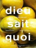 voir la fiche complète du film : Dieu sait quoi