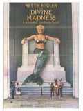 voir la fiche complète du film : Divine Madness