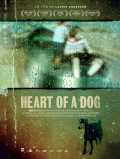 voir la fiche complète du film : Heart of a Dog