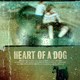 photo du film Heart of a Dog