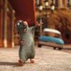 photo du film Ratatouille