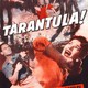 photo du film Tarantula