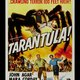 photo du film Tarantula