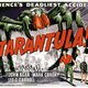 photo du film Tarantula