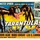 photo du film Tarantula