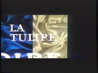Extrait vidéo du film  La Tulipe noire