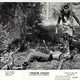 photo du film Frontier woman