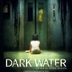 photo du film Dark Water