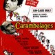 photo du film Carambolages