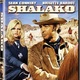 photo du film Shalako