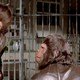 photo du film Les Évadés de la planète des singes