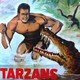 photo du film La Plus grande aventure de Tarzan