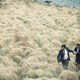 photo du film The Lobster