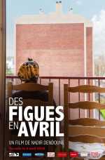 Des Figues En Avril