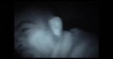 Un extrait du film  Vampires