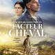 photo du film L'Incroyable histoire du facteur Cheval