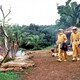 photo du film Alerte !