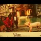 photo du film Babe, le cochon dans la ville