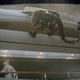 photo du film Percy jackson : la mer des monstres
