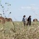 photo du film Un été à Osage County