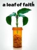 voir la fiche complète du film : A Leaf of Faith