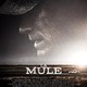 photo du film La Mule