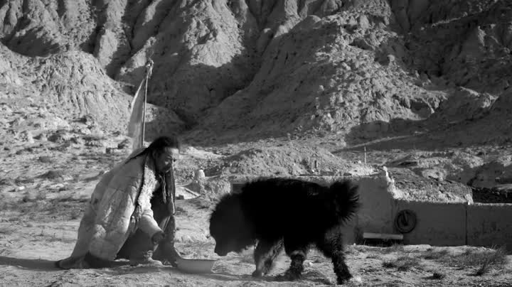 Extrait vidéo du film  Tharlo, le berger tibétain
