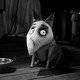 photo du film Frankenweenie