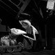 photo du film Frankenweenie