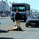 photo du film À Casablanca, les anges ne volent pas