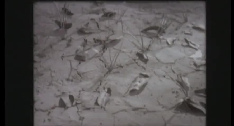 Extrait vidéo du film  Independencia