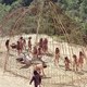 photo du film La Planète des singes