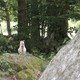 photo du film Le Paradis