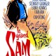 photo du film Le Grand Sam