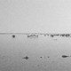 photo du film Rêve et silence